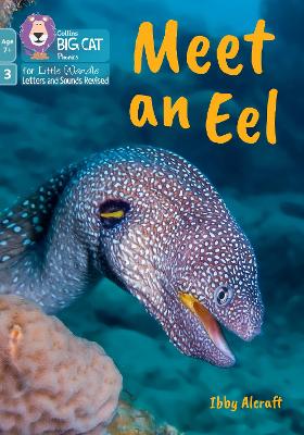 Big Cat Phonics for Little Wandle Letters and Sounds Revised – Age 7+ – Meet an Eel: Phase 3 Set 1 Blending practice