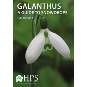 Galanthus: A Guide to Snowdrops