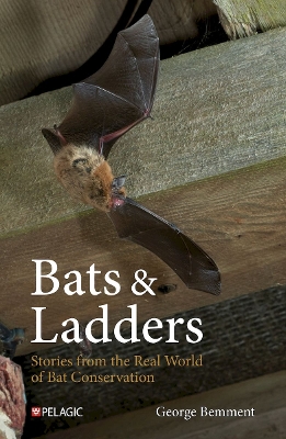 Bats & Ladders: Stories from the Real World of Bat Conservation