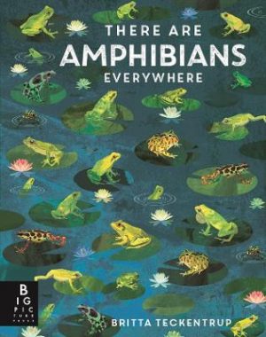 There Are Amphibians Everywhere