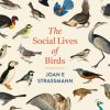 The Social Lives of Birds book cover
