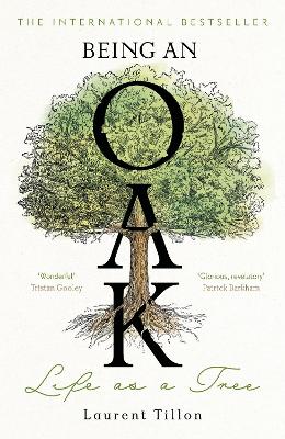 Being an Oak: Life as a tree