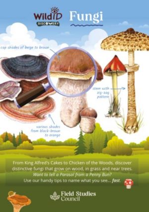 Fungi – FSC Discovery Guide
