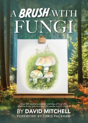 A Brush with Fungi