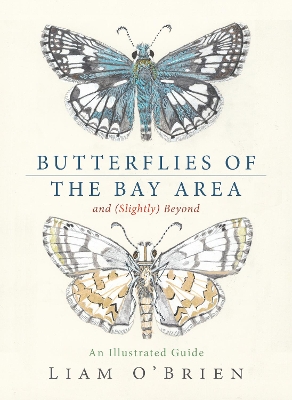Butterflies of the Bay Area and (Slightly) Beyond: An Illustrated Guide