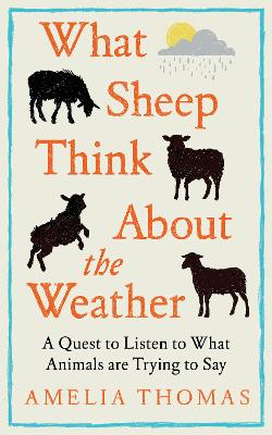 What Sheep Think About the Weather: A quest to listen to what animals are trying to say