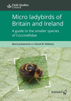 Micro ladybirds of Britain and Ireland: A guide to the smaller species of Coccinellidae