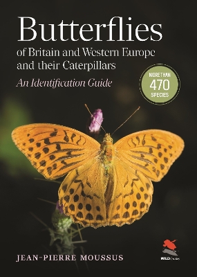 Butterflies of Britain and Western Europe and Their Caterpillars: An Identification Guide