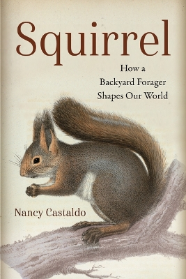Squirrel: How a Backyard Forager Shapes Our World