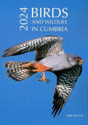 Birds and Wildlife in Cumbria 2024