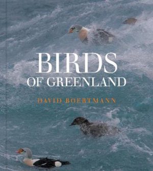 Front cover of Birds of Greenland