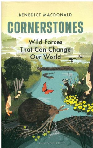Cornerstones: Wild Forces That Can Change Our World