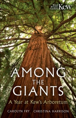 Among the Giants : A Year at Kew's Arboretum