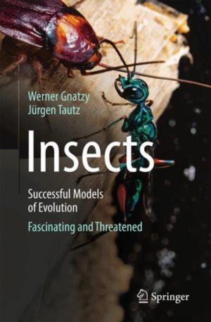 Insects - Successful Models of Evolution: Fascinating and Threatened