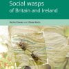 Social wasps of Britain and Ireland