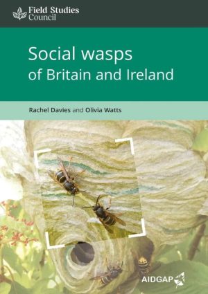 Social wasps of Britain and Ireland