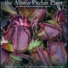 Cephalotus—the Albany Pitcher Plant