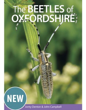 The Beetles of Oxfordshire