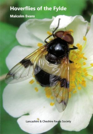 Hoverflies of the Fylde An Annotated Checklist