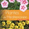 Plantes de Méditerranée - des Albères à la Riviera