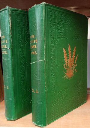 Our Native Ferns (2 volume set)