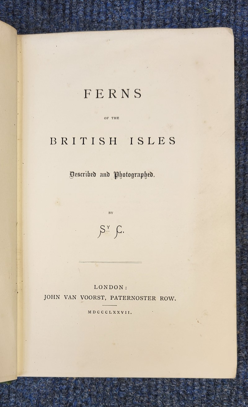 Ferns of the British Isles - Image 2
