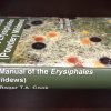 Taxonomic Manual of the Erysiphales (Powdery Mildews). CBS Biodiversity Series Volume: 11