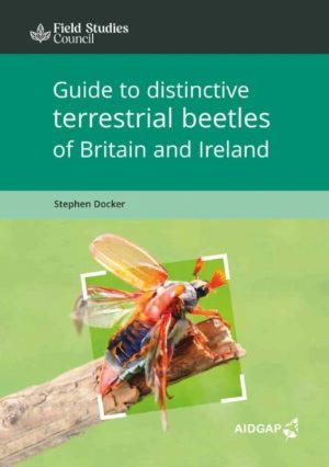 Guide to distinctive terrestrial beetles of Britain and Ireland - Field Studies Council fold out chart