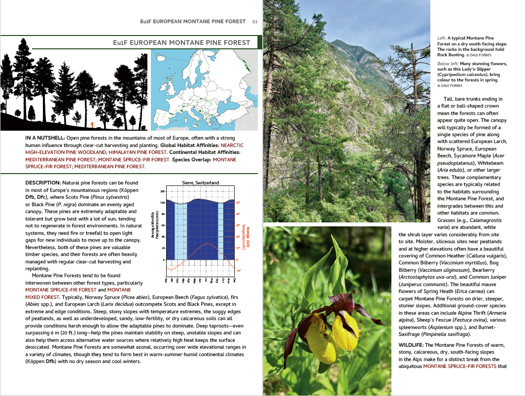 Habitats of Europe: A Field Guide for Birders, Naturalists, and Ecologists - Image 5