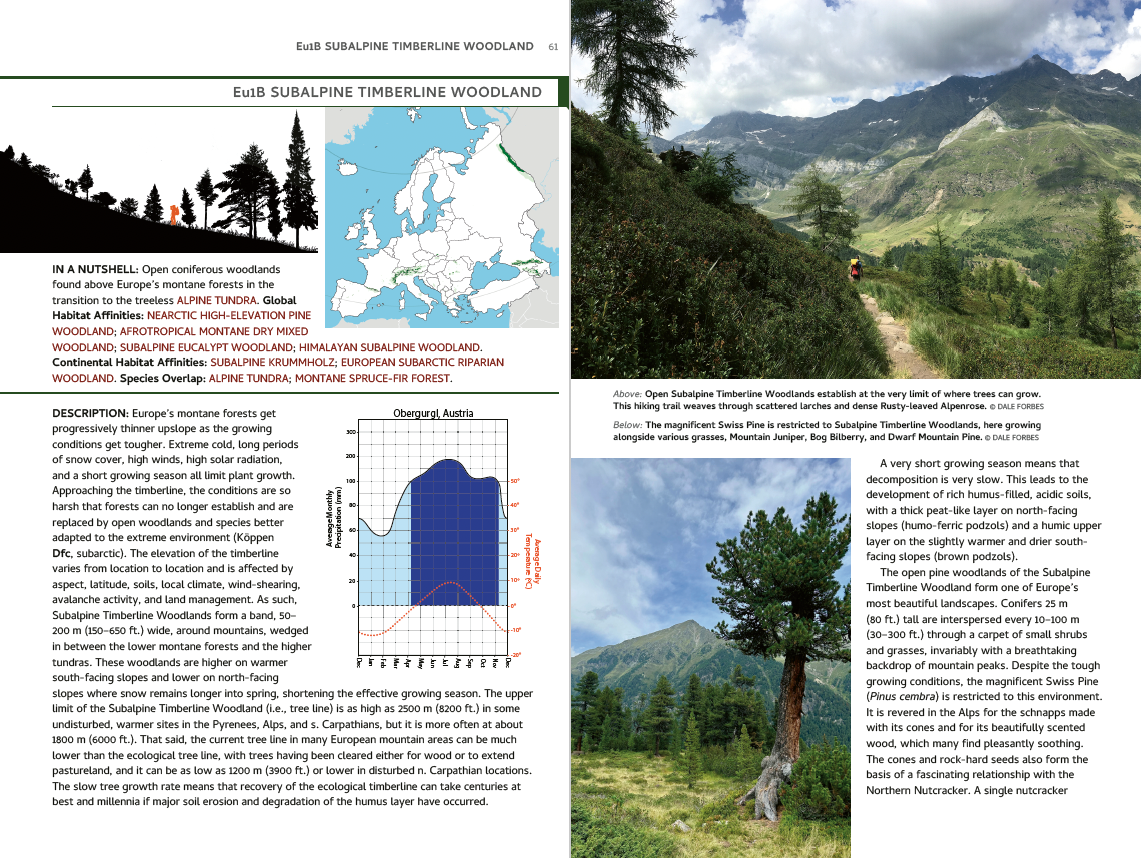 Habitats of Europe: A Field Guide for Birders, Naturalists, and Ecologists - Image 4