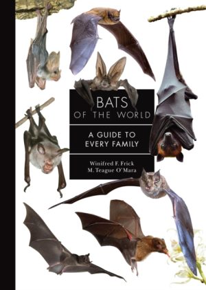 Bats of the World book cover