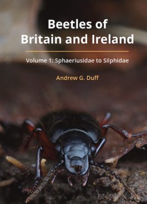 Beetles of Britain and Ireland: Volume 1: Sphaeriusidae to Silphidae