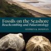 Fossils on the Seashore: Beachcombing and Palaeontology