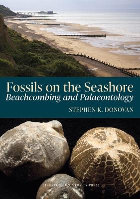 Fossils on the Seashore: Beachcombing and Palaeontology
