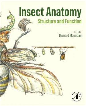 Insect Anatomy: Structure and Function