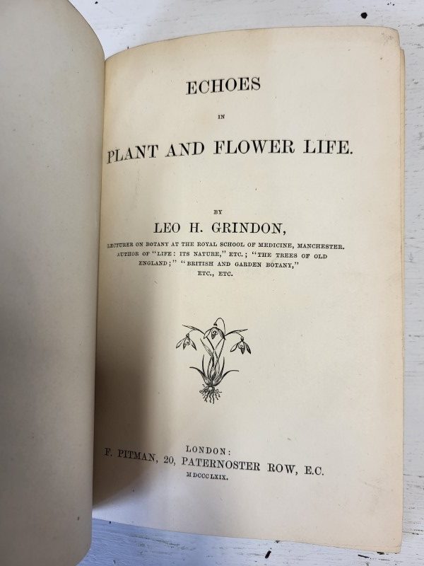 Echoes in Plant and Flower Life - Image 2