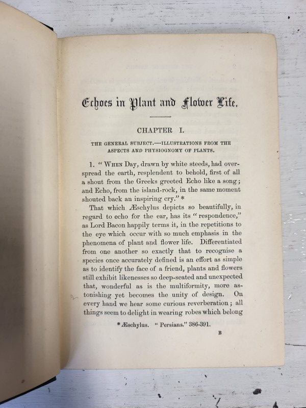 Echoes in Plant and Flower Life - Image 3