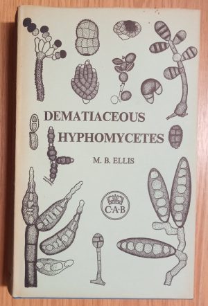 Dematiaceous Hyphomycetes