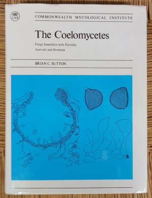 The Coelomycetes