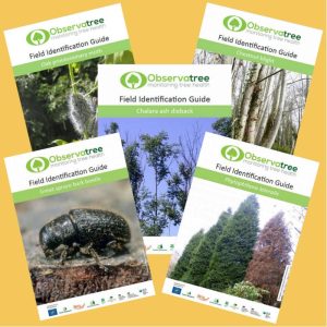 Observatree guides – complete set