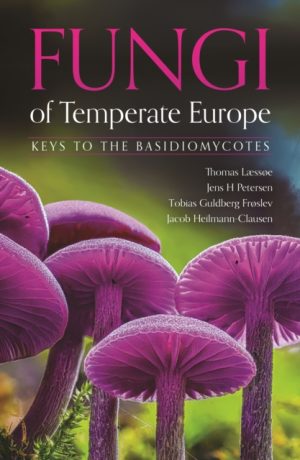 Fungi of Temperate Europe: Keys to the Basidiomycotes book cover