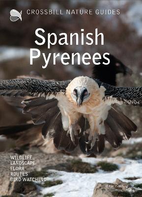 Crossbill Nature Guide Spanish Pyrenees