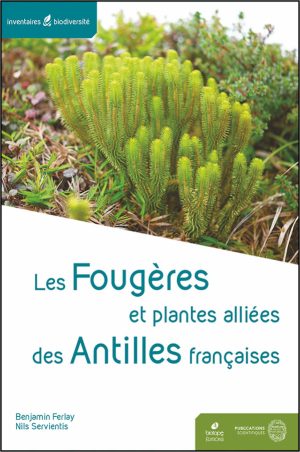 Les Fougères et plantes alliées des Antilles françaises