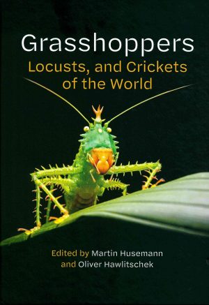 Grasshoppers, Locusts, and Crickets of the World