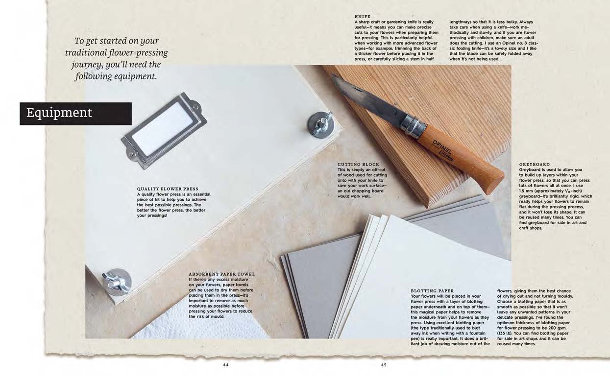 The Pressed Flower Handbook: Simple Methods for Connecting with Nature and Preserving the Beauty of the Garden through the Seasons - Grow, Gather, Press, Create - Image 5