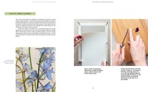 The Pressed Flower Handbook: Simple Methods for Connecting with Nature and Preserving the Beauty of the Garden through the Seasons - Grow, Gather, Press, Create - Image 9