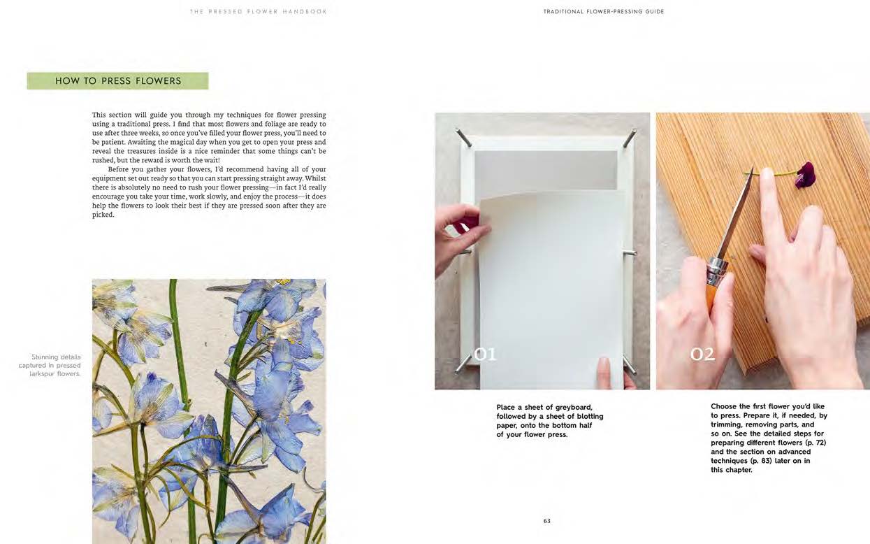 The Pressed Flower Handbook: Simple Methods for Connecting with Nature and Preserving the Beauty of the Garden through the Seasons - Grow, Gather, Press, Create - Image 9