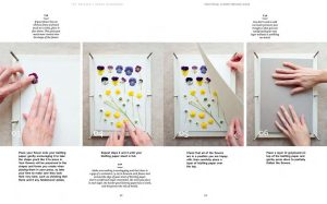 The Pressed Flower Handbook: Simple Methods for Connecting with Nature and Preserving the Beauty of the Garden through the Seasons - Grow, Gather, Press, Create - Image 8