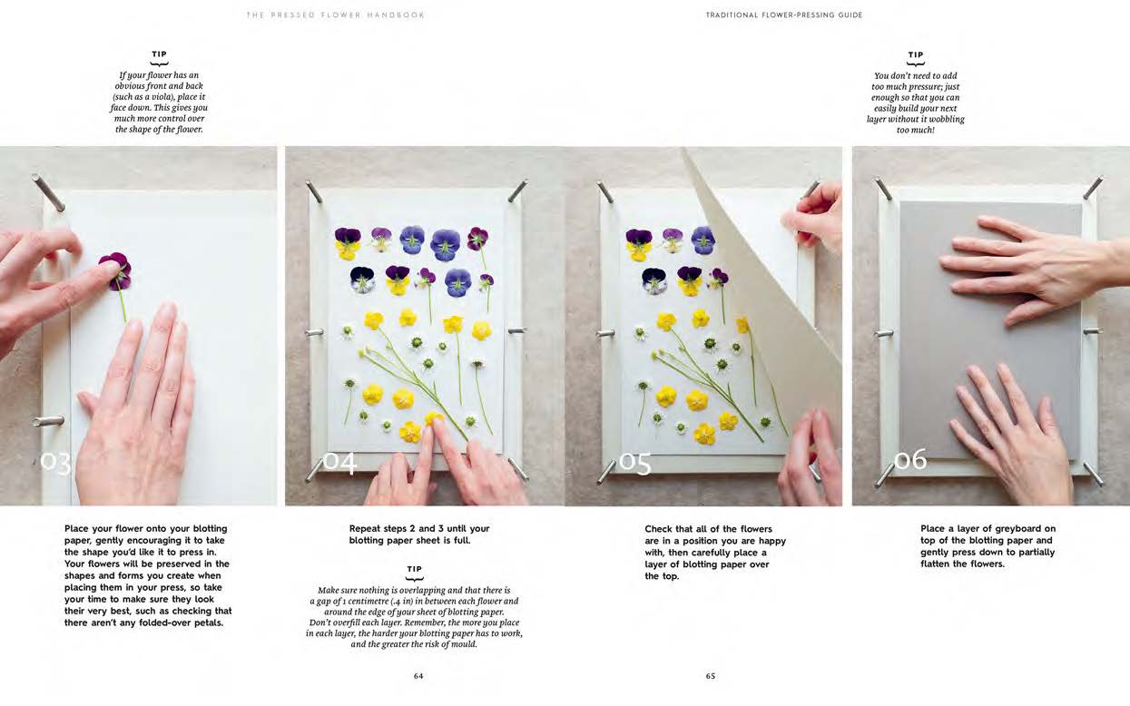 The Pressed Flower Handbook: Simple Methods for Connecting with Nature and Preserving the Beauty of the Garden through the Seasons - Grow, Gather, Press, Create - Image 8