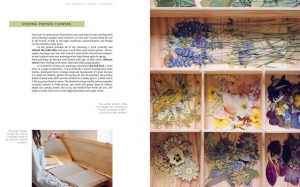 The Pressed Flower Handbook: Simple Methods for Connecting with Nature and Preserving the Beauty of the Garden through the Seasons - Grow, Gather, Press, Create - Image 7